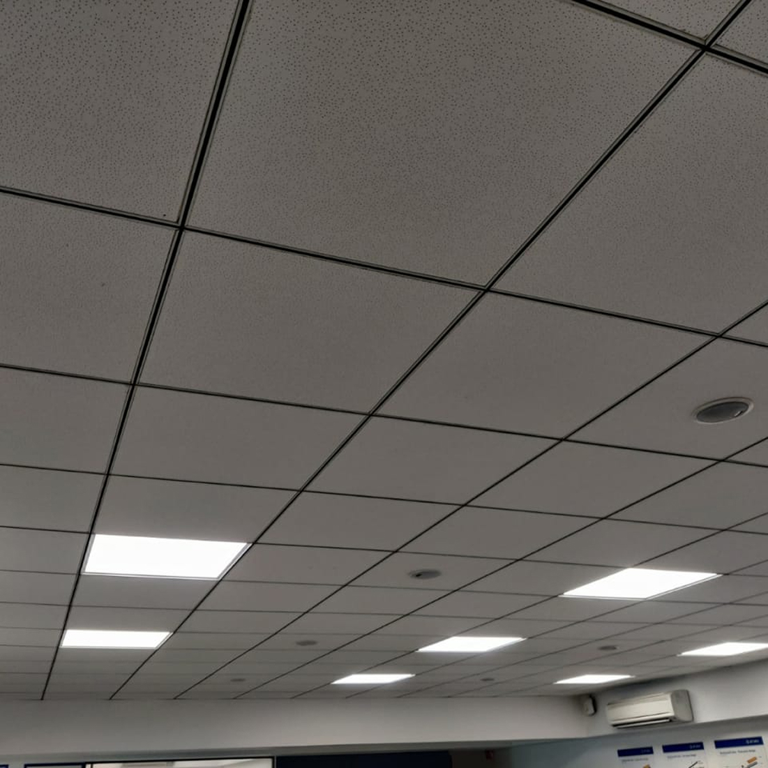 Ceiling Projects